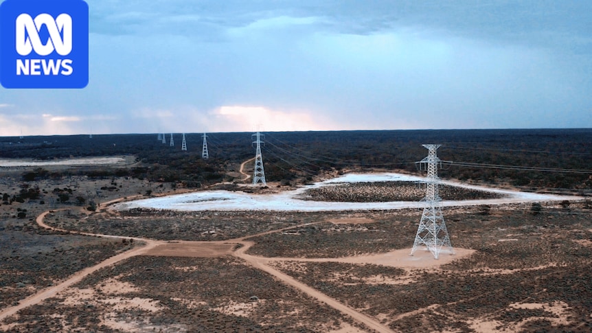 Energy regulator rejects Transgrid bid for taxpayer bailout