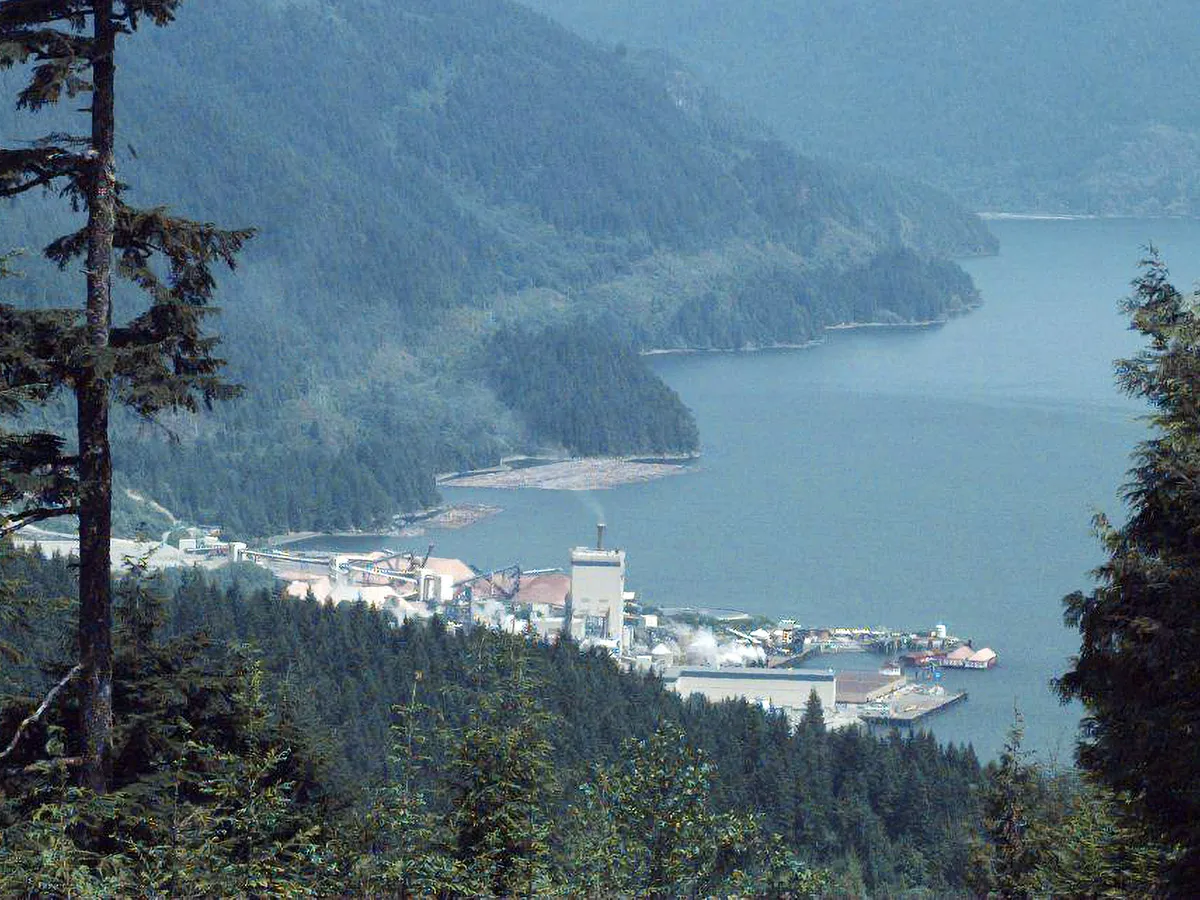 400 jobs lost as Sunshine Coast chipping facility and pulp mill closes