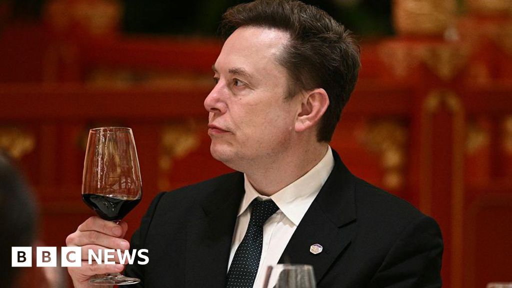 'Let's enjoy the ride' says Elon Musk, as AI risk concerns mount