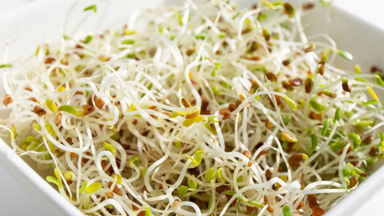 E. coli and salmonella outbreak linked to alfalfa sprouts sickens dozens across multiple states - Fox Business