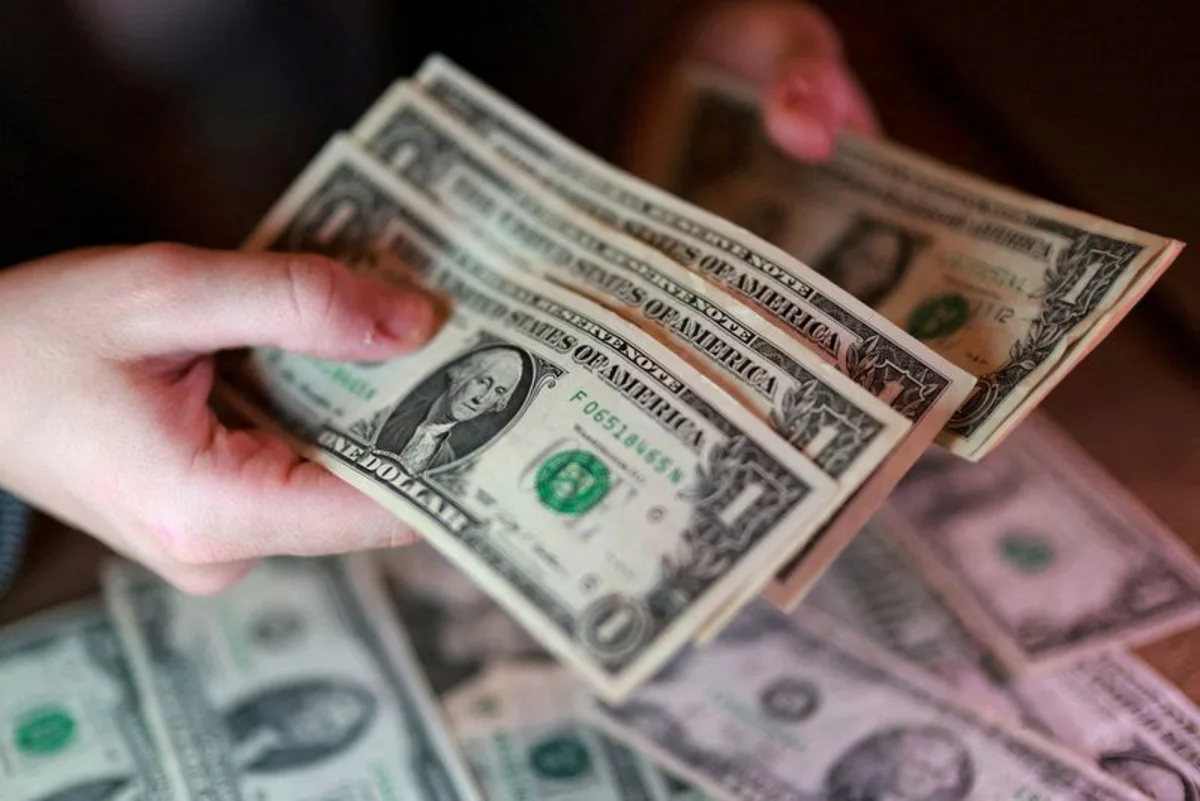 US dollar rises to 13-month high on Fed rate hike views