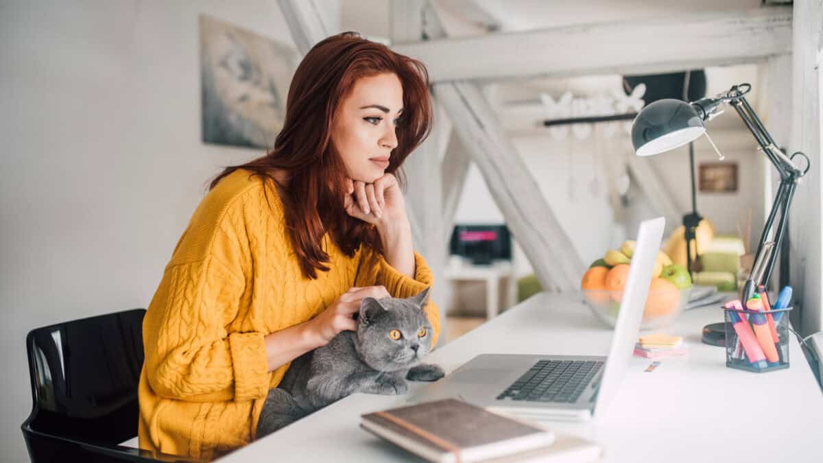 3 ASX 200 earnings results that could move your portfolio this week