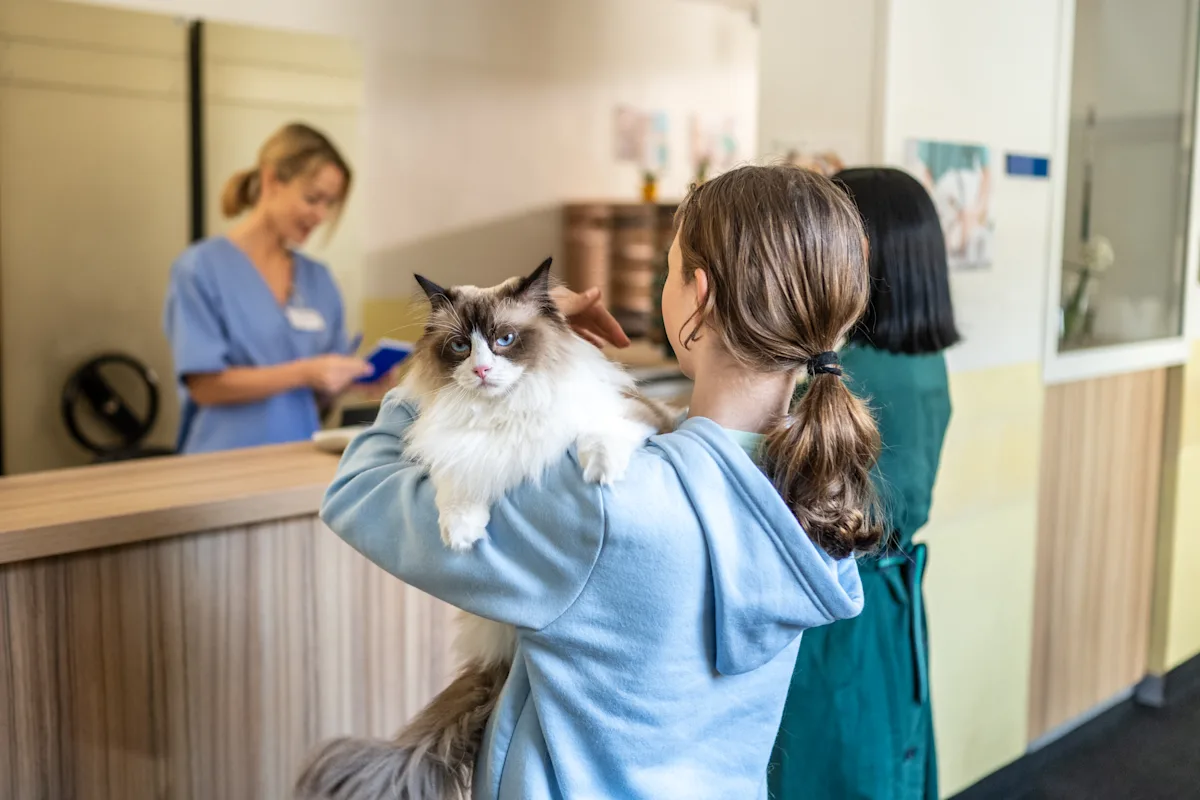 How much does a vet visit cost?