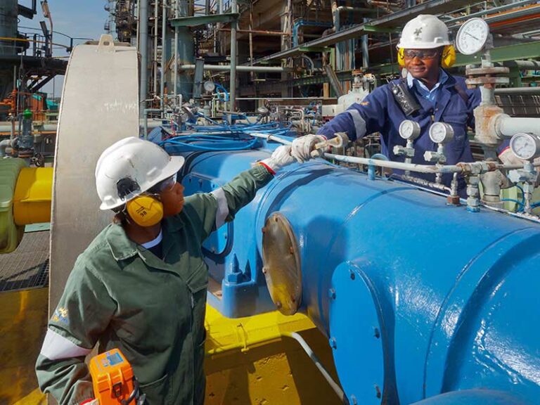 Is Woodside Energy Group Ltd (WDS) A Good Stock To Buy Now?