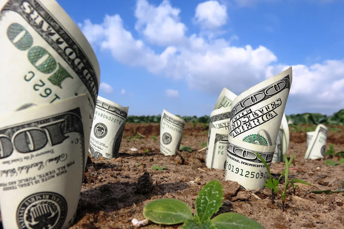 3 Top Dividend Stocks to Buy Right Now -- With Dividend Yields Above 5%
