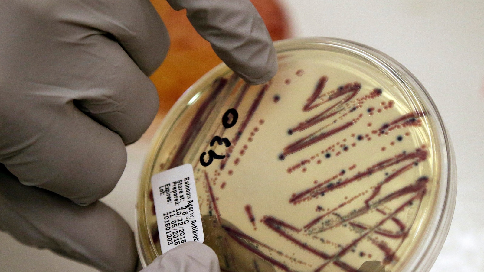 Alfalfa sprouts linked to food poisoning illnesses in Minnesota and Wisconsin - ABC News - Breaking News, Latest News and Videos
