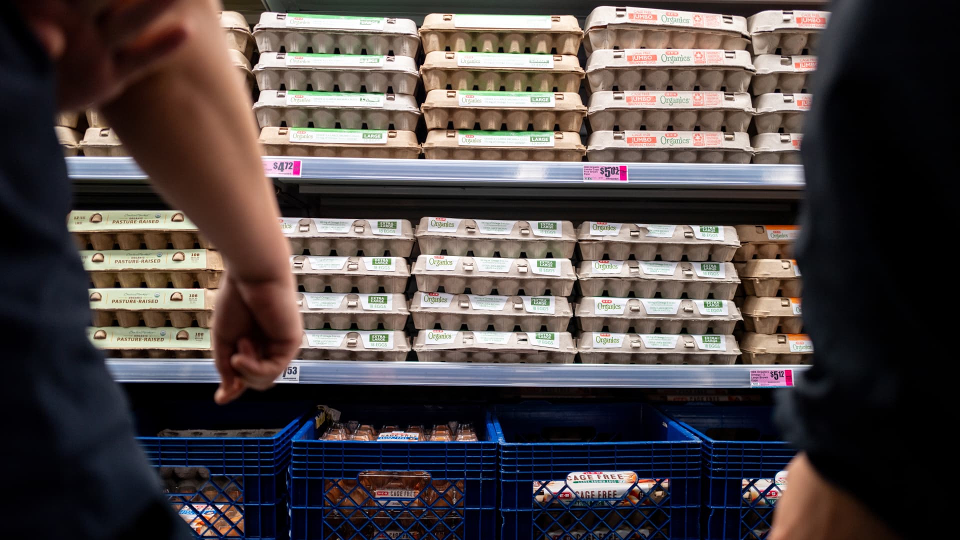 Egg prices are plunging due to oversupply — and producers say margins are taking a hit as costs rise - CNBC