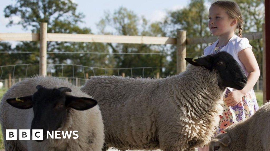 Will summer VAT savings scheme make family days out any cheaper?