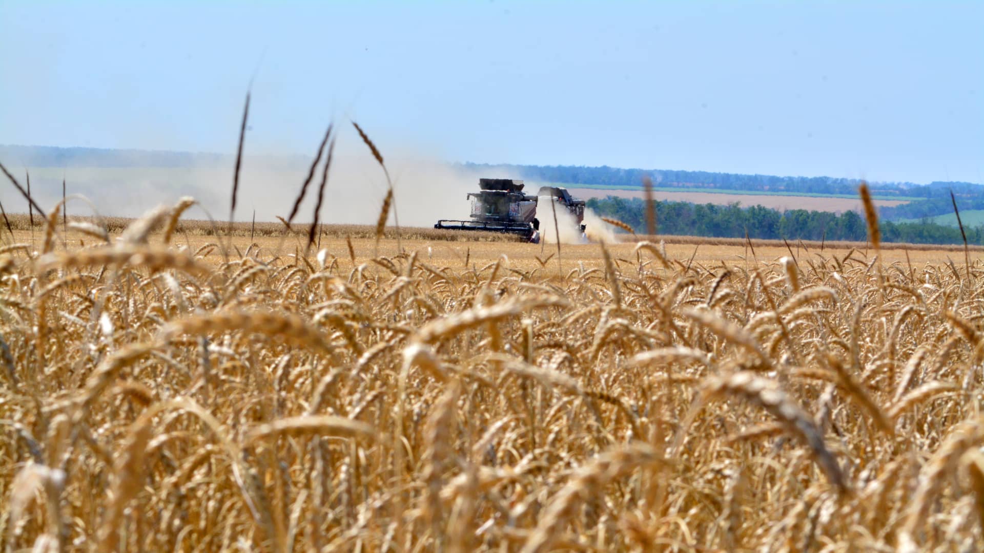 Corn and wheat prices jump to highest prices in more than three years - CNBC