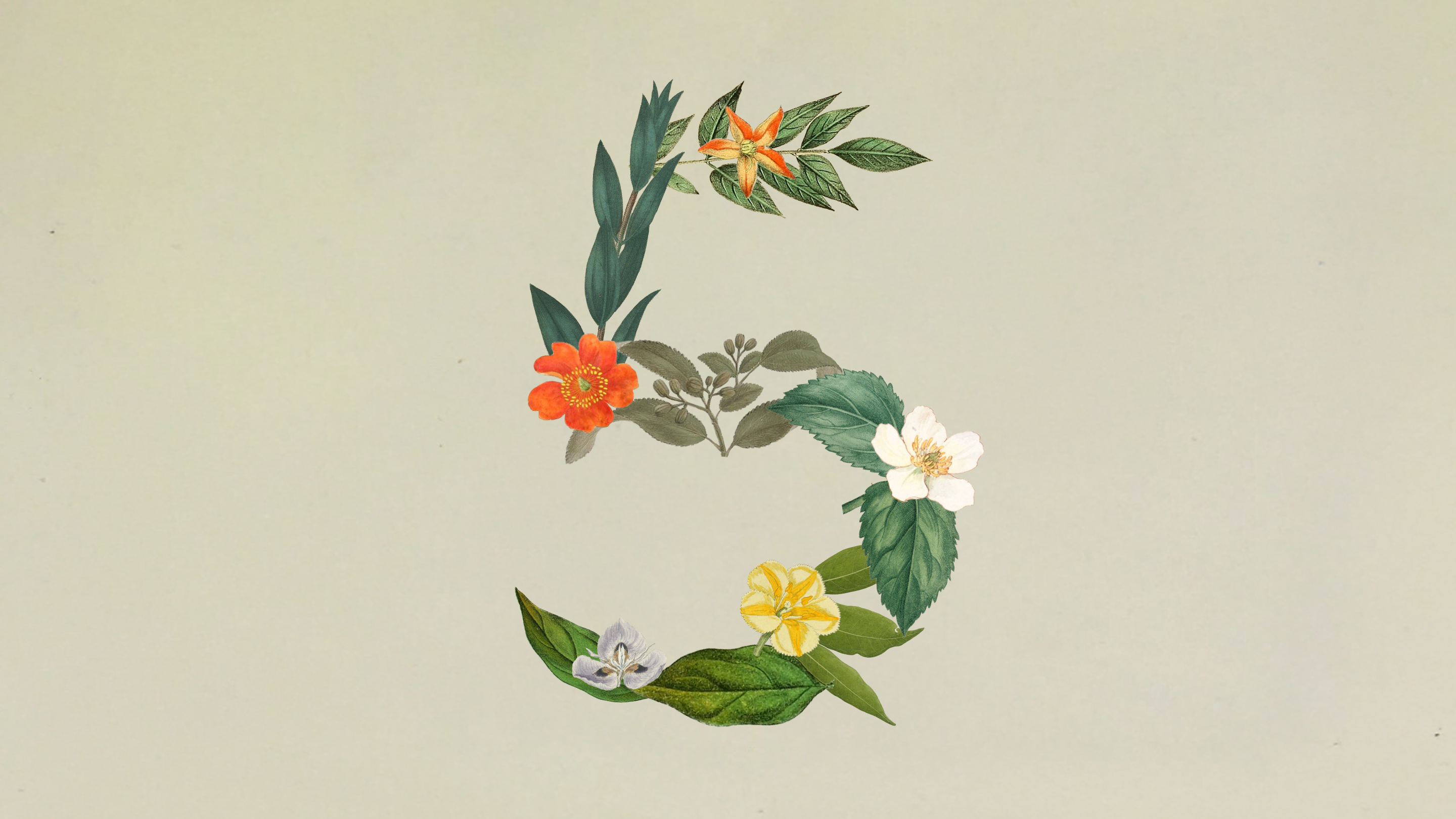 Introducing Claude Sonnet 5 - Anthropic