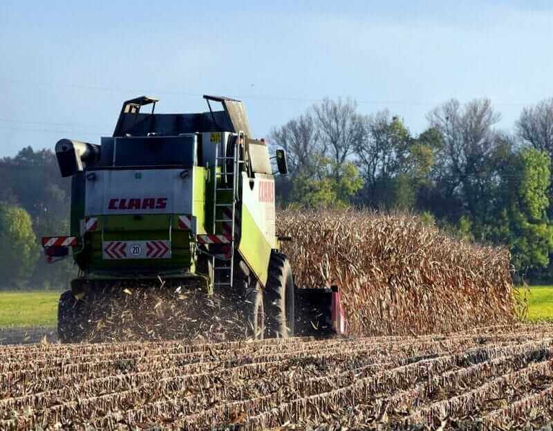 Corn Pulls Off Early Lows, but Still Faces Friday Losses