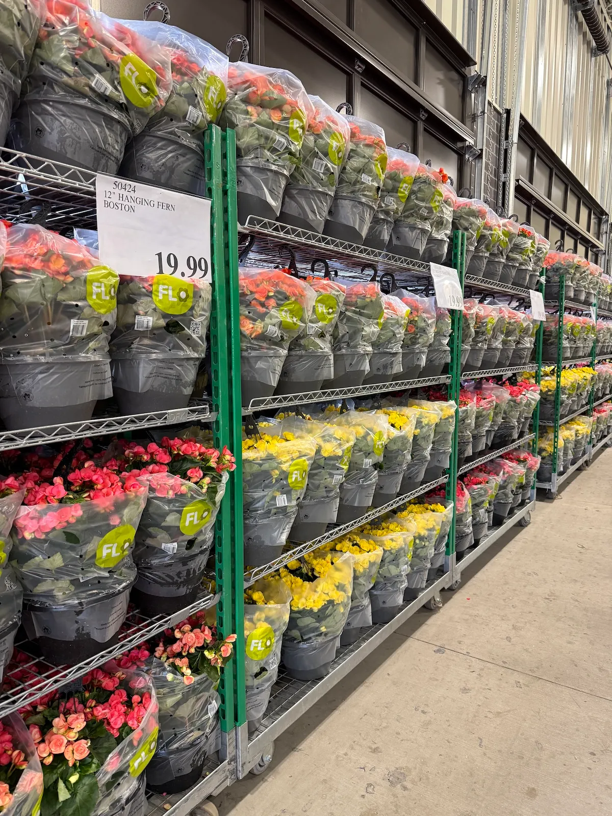 Costco Flower Deals