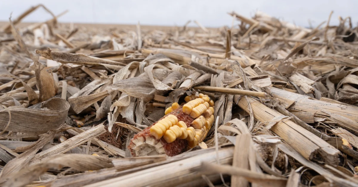 Is America on the cusp of a farm crisis? 