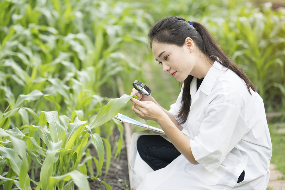 Is Darling Ingredients Inc. (DAR) A Good Stock To Buy Now?